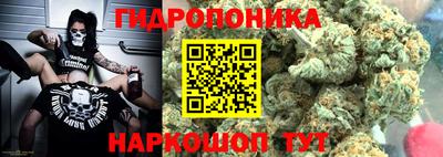 гидропоника Ирбит