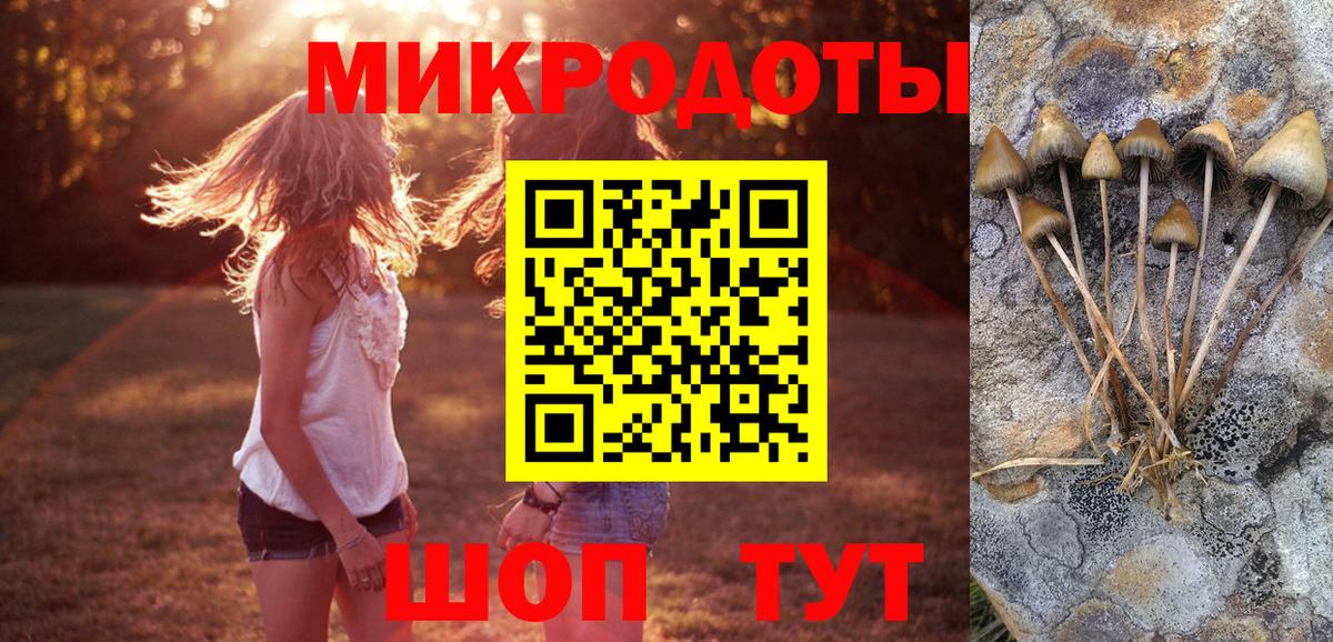 Кумертау  дарнет шоп  Вход с VPN  Псилоцибиновые грибы MAGIC MUSHROOMS 