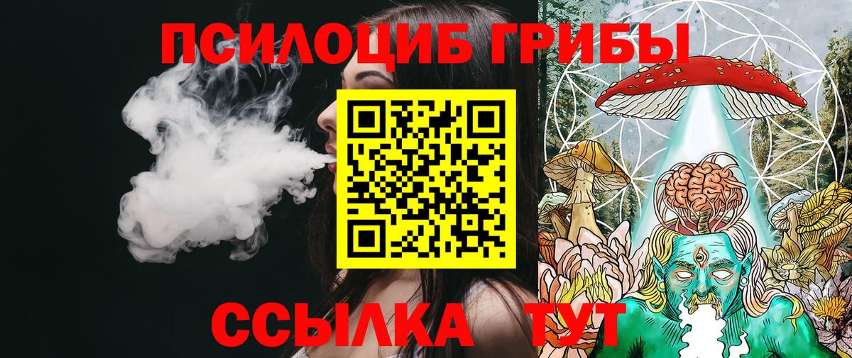 Псилоцибиновые грибы Psilocybe Кумертау